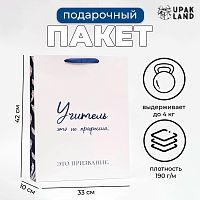 Пакет ламинированный вертикальный «Учителю», 33 х 42 х 10 см 