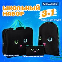 Школьный набор BRAUBERG: папка А4, мешок д/обуви 42х33см, пенал-косметичка 20х10см, Black cat,271434