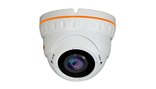 IP камера видеонаблюдения CARCAM CAM-2890VPSD
