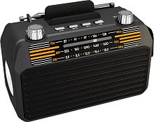 Радиоприемник SOUNDMAX SM-RD2114UB(черный)