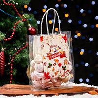 Пакет подарочный, 21 x 15 + 7,5 см 