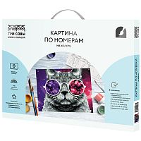 Картина по номерам на холсте ТРИ СОВЫ "Кошачий космос", 30*40, с акриловыми красками и кистями
