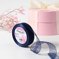 Лента капроновая 25мм*25±1ярд(23м±1м) горох чёрный №038 тёмно-синий АУ   5232084