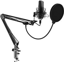 Микрофон RITMIX RDM-169 черный