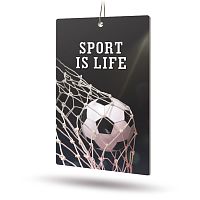 Ароматизатор AVS APS-030 Sport is Life (аром. Citrus/Цитрус) (бумажные