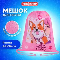 Мешок для обуви ПИФАГОР, 1 отделение, 42х34 см, Fluffy akita, 272385