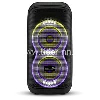 Колонка 06" (20-91 DANCE BOX 600) динамик 2шт/6.5" ELTRONIC с TWS
