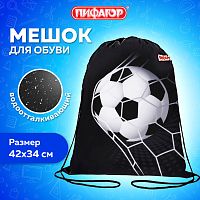 Мешок для обуви ПИФАГОР, 1 отделение, 42х34 см, Ball kick, 272386