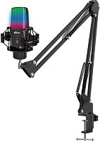 RITMIX Микрофон RDM-270, черный