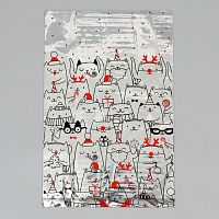 Пакет пластиковый «Киса», 20 × 30 см    