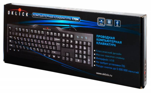 Клавиатура Оклик 170M черный USB фото 3 Клавиатура Оклик 170M черный USB фото 3